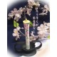 Candles : cherry blossom (sakura)