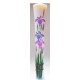 Bougies : iris ( ayame )